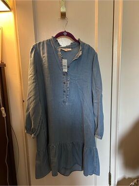 LOFT Chambray Ruffle Henley Tunic Dress - Light Blue